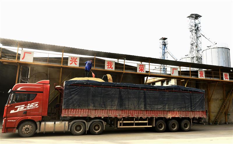 日照富硒大米(富硒大米市场前景)-硒宝网