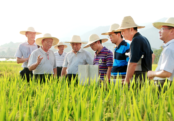 武汉富硒大米(大米武汉富硒含量多少)-硒宝网
