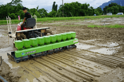 武汉富硒大米(大米武汉富硒含量多少)-硒宝网