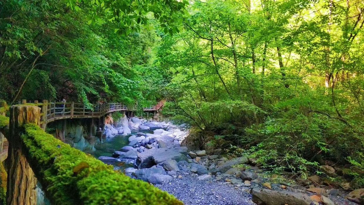 陕南富硒大米（富硒大米好在哪）-硒宝网