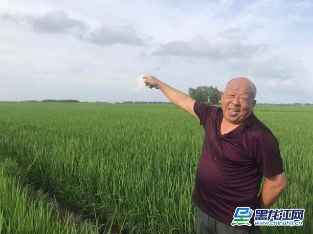 广德富硒大米(富硒大米口感如何)-硒宝网