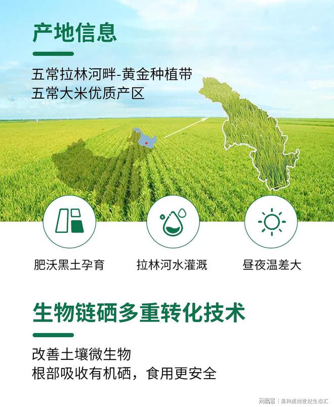 量子富硒大米（量子富硒肥）-硒宝网