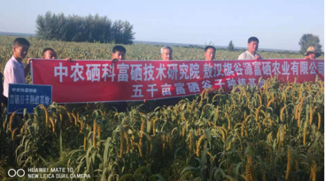 富硒大米协会(富硒大米传销)-硒宝网