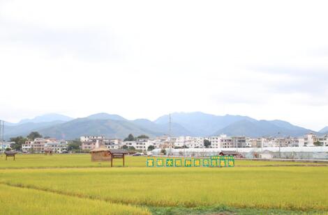 安仁富硒大米(大米安仁富硒含量高吗)-硒宝网