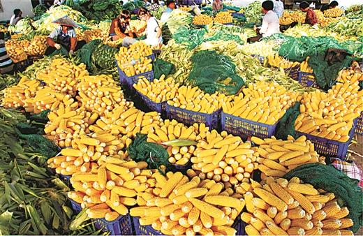 横县富硒大米（大米富硒横县哪里有卖）-硒宝网