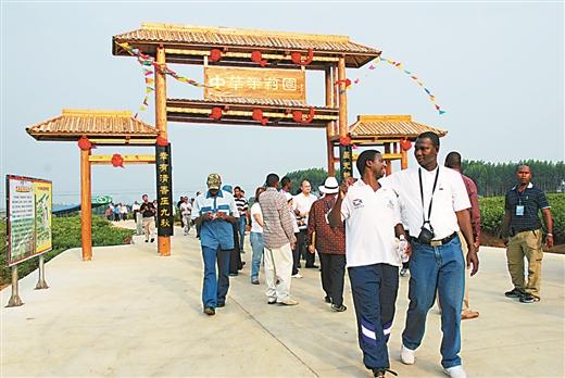 横县富硒大米（大米富硒横县哪里有卖）-硒宝网