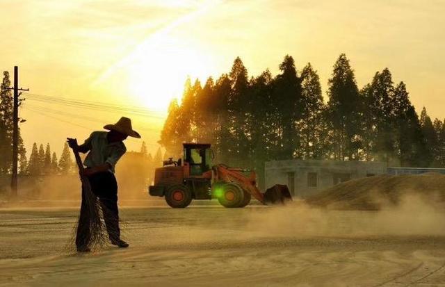 武汉富硒大米（湖北富硒大米）-硒宝网