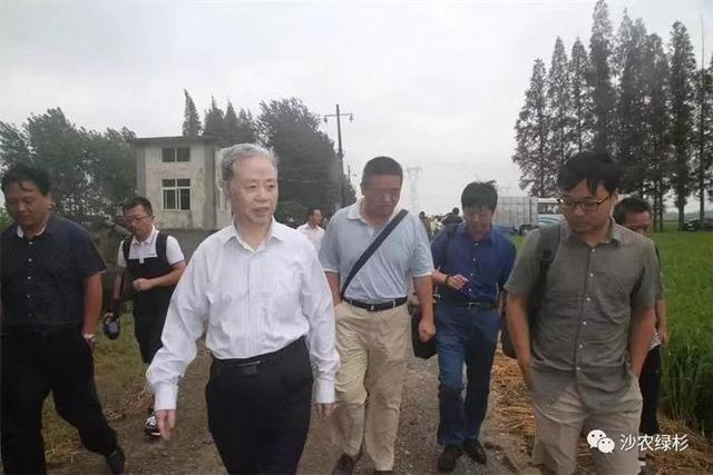 武汉富硒大米（湖北富硒大米）-硒宝网