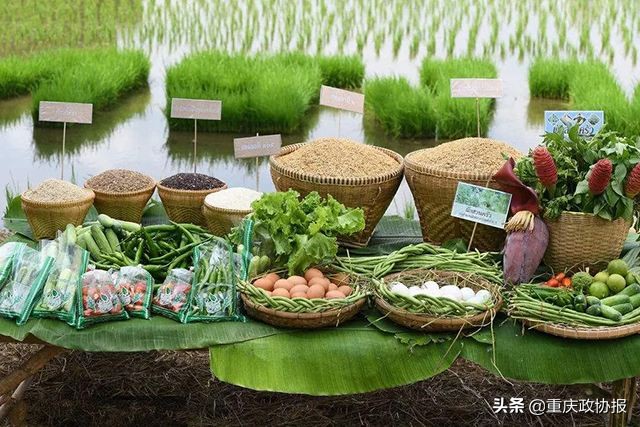 横县富硒大米（大米富硒横县有卖吗）-硒宝网