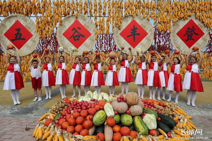 横县富硒大米（大米富硒横县有卖吗）-硒宝网