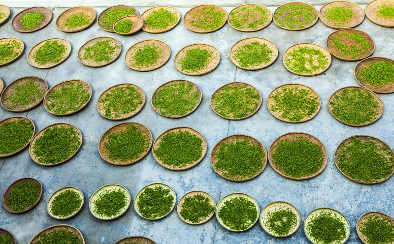 桑植富硒大米（富硒大米什么好处）-硒宝网