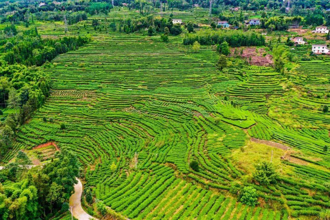 安仁富硒大米(安微富硒大米)-硒宝网