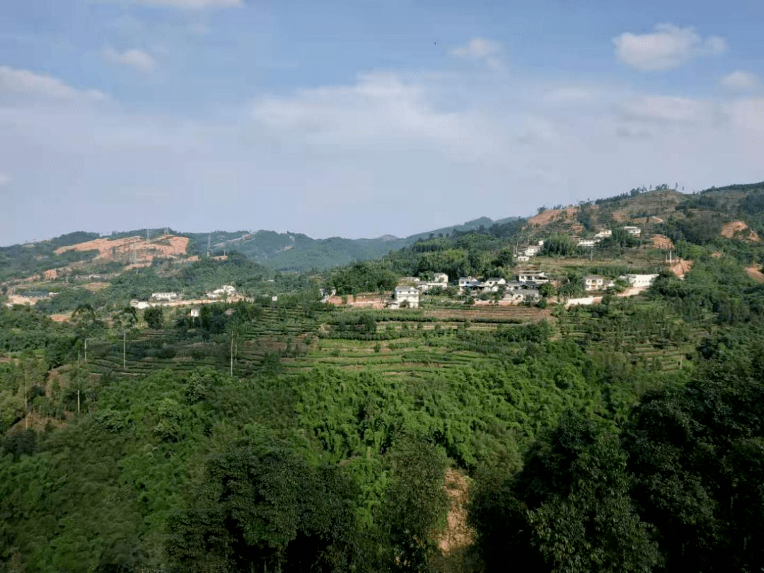 安仁富硒大米(安微富硒大米)-硒宝网