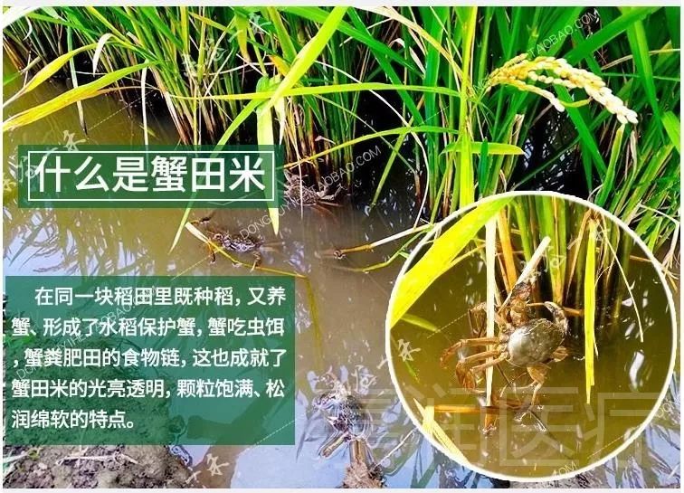 生平富硒大米(大米的富硒标准)-硒宝网