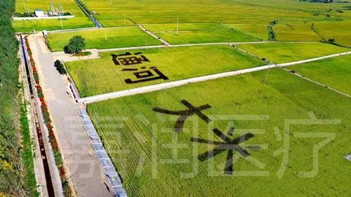 生平富硒大米(大米的富硒标准)-硒宝网