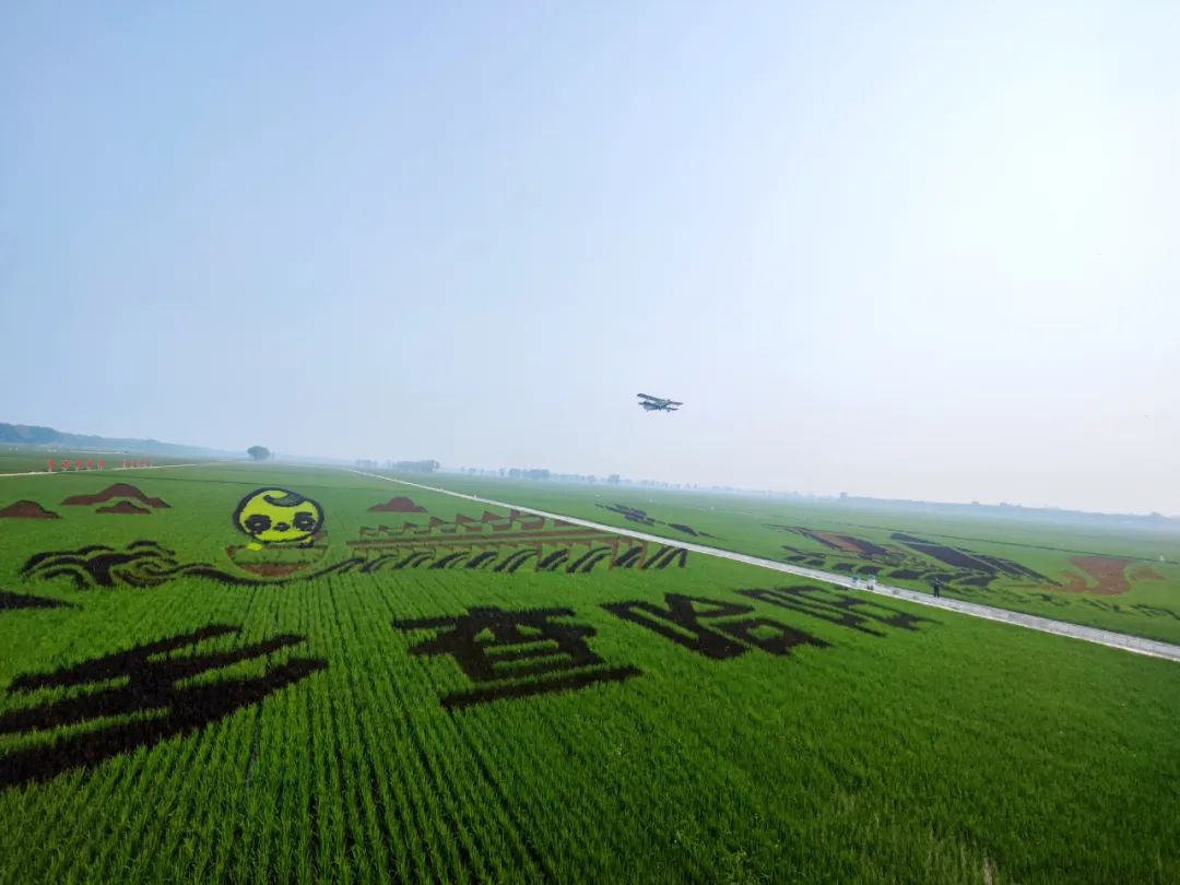 生平富硒大米（大米生平富硒含量高吗）-硒宝网