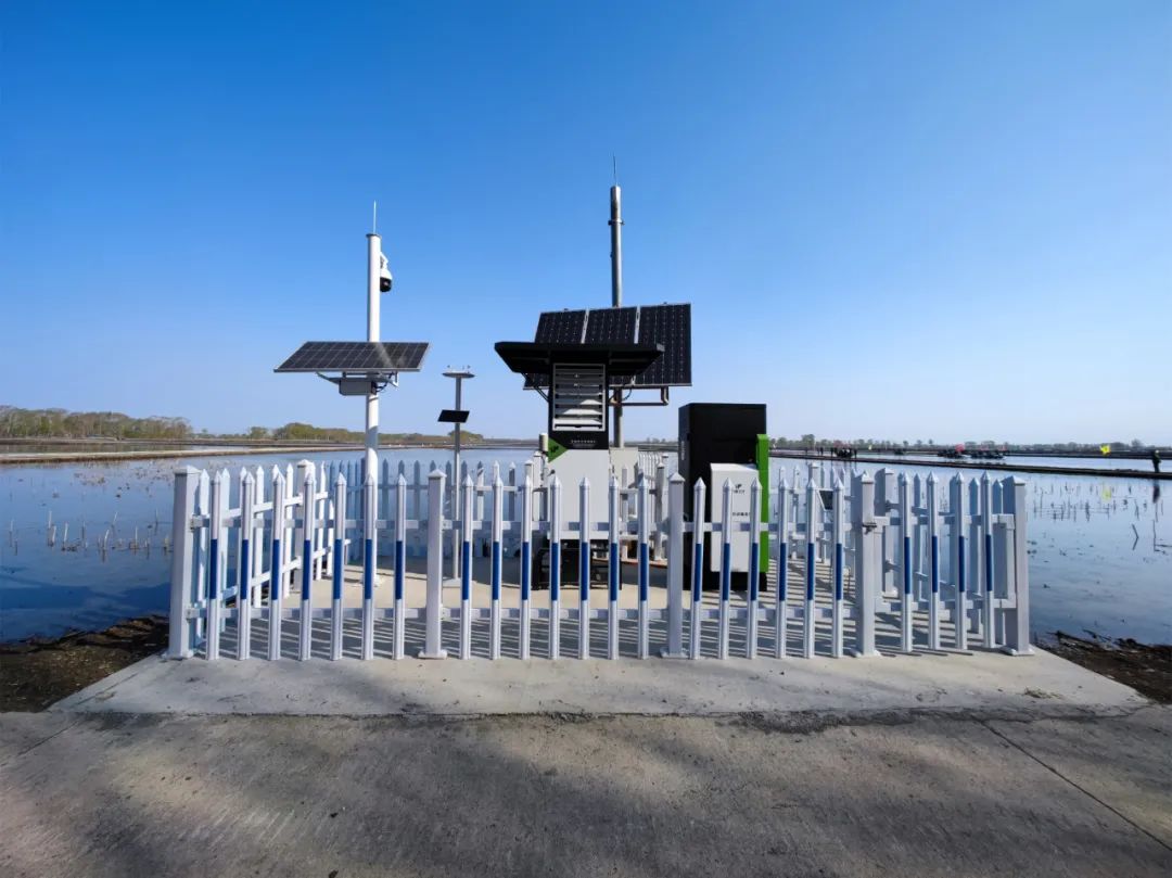 生平富硒大米（大米生平富硒含量高吗）-硒宝网