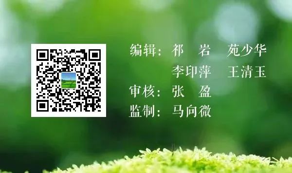 生平富硒大米（大米生平富硒含量高吗）-硒宝网