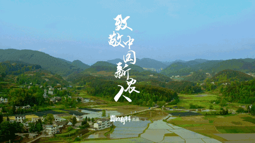 现磨富硒大米(富硒的大米)-硒宝网