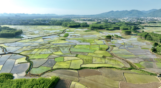 富硒大米项目（富硒大米厂家）-硒宝网