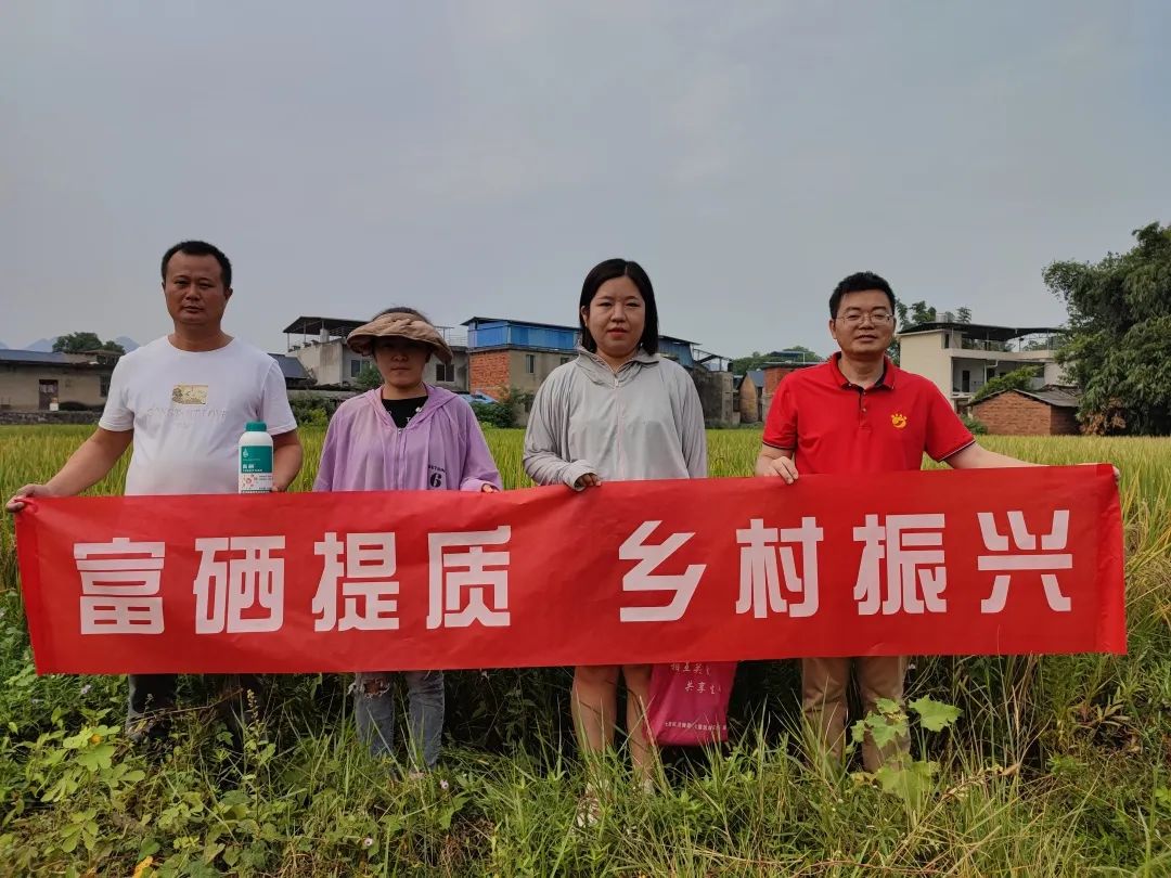 富硒大米范围(大米富硒含硒的国家标准)-硒宝网