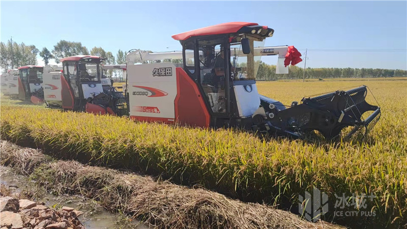 法库富硒大米（富硒大米生产技术）-硒宝网