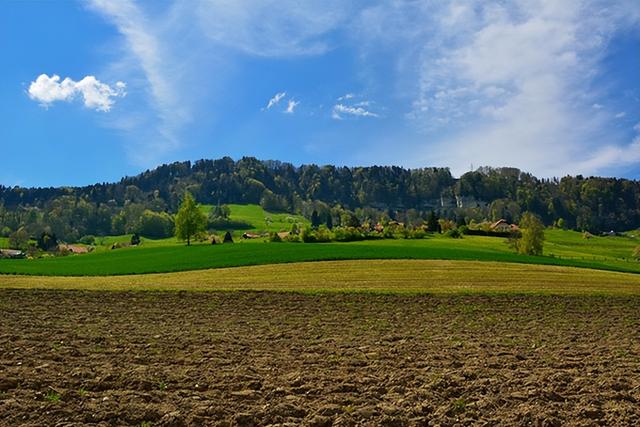 富硒大米地区(大米地区富硒产量)-硒宝网