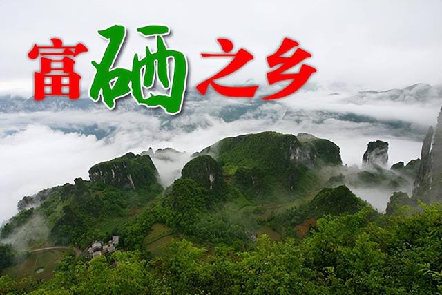 富硒大米地区(大米地区富硒产量)-硒宝网