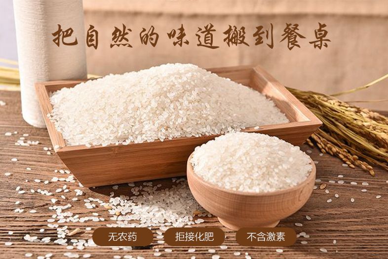 专卖富硒大米（富硒大米批发）-硒宝网