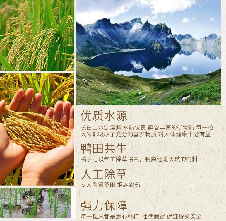 专卖富硒大米（富硒大米批发）-硒宝网