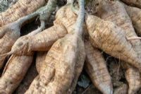 安吉富硒大米（安康富硒大米）-硒宝网