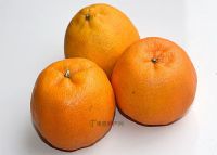 安吉富硒大米（安康富硒大米）-硒宝网