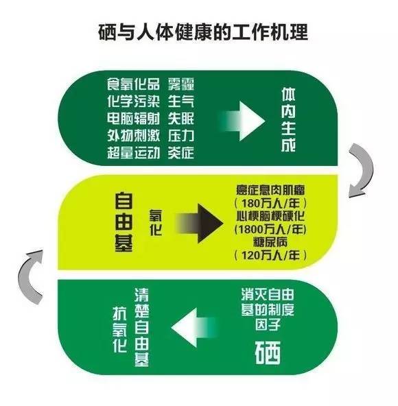 富硒大米有味（富硒大米味道）-硒宝网