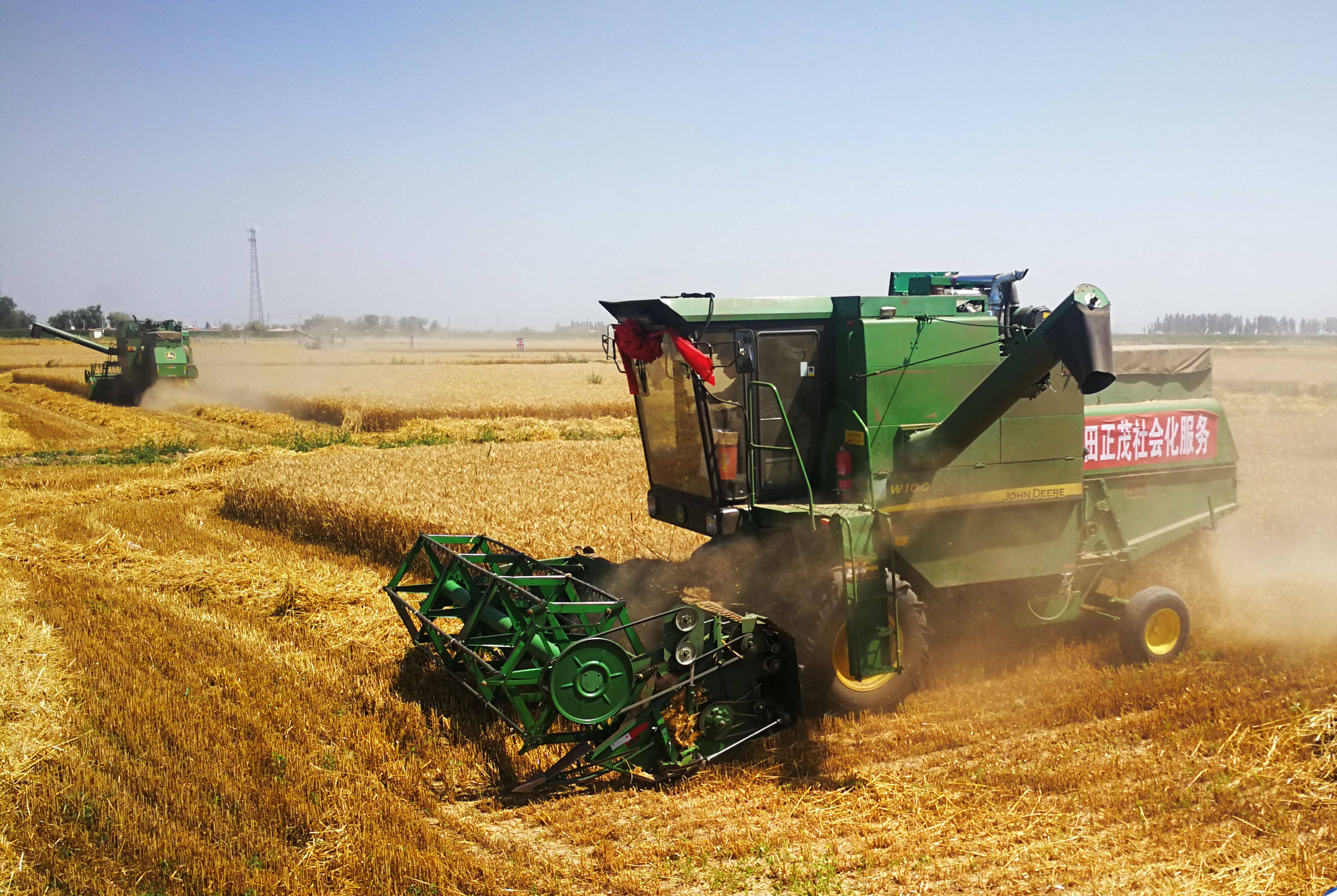 富硒农家大米(大米农家富硒含量多少)-硒宝网