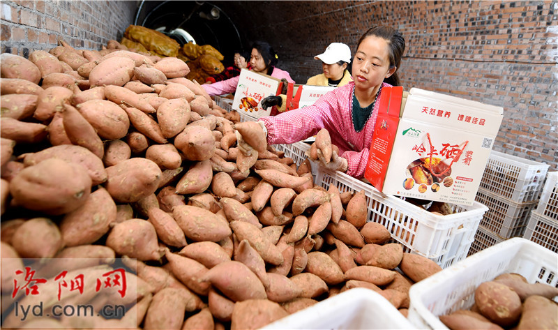 富硒大米造型（富硒大米的种植）-硒宝网