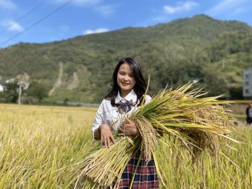 富硒大米吃法（富硒大米能补硒吗）-硒宝网