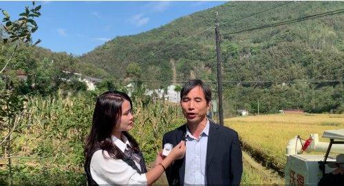 富硒大米吃法（富硒大米能补硒吗）-硒宝网