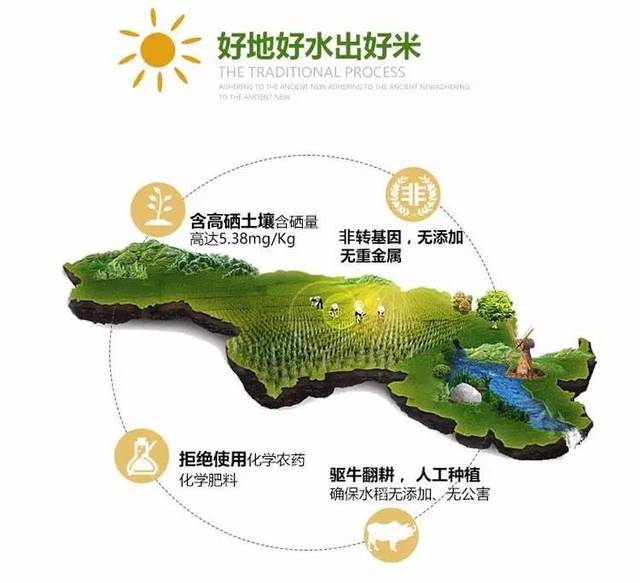 世界富硒大米（富硒大米产地有哪些）-硒宝网