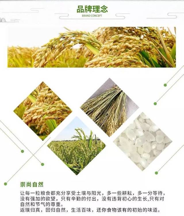 世界富硒大米（富硒大米产地有哪些）-硒宝网