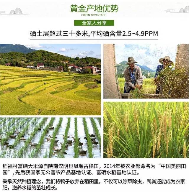 世界富硒大米（富硒大米产地有哪些）-硒宝网