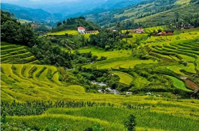 世界富硒大米（富硒大米产地有哪些）-硒宝网