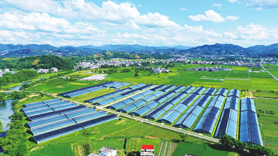 富硒大米榆林(榆阳富硒大米)-硒宝网