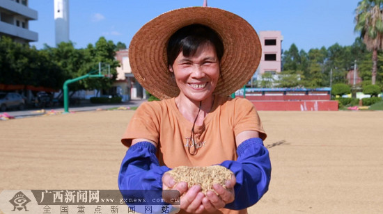 富硒大米广西(广西扶贫产品富硒大米)-硒宝网