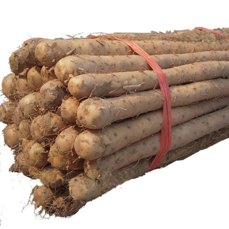 富硒大米科普（富硒的大米）-硒宝网