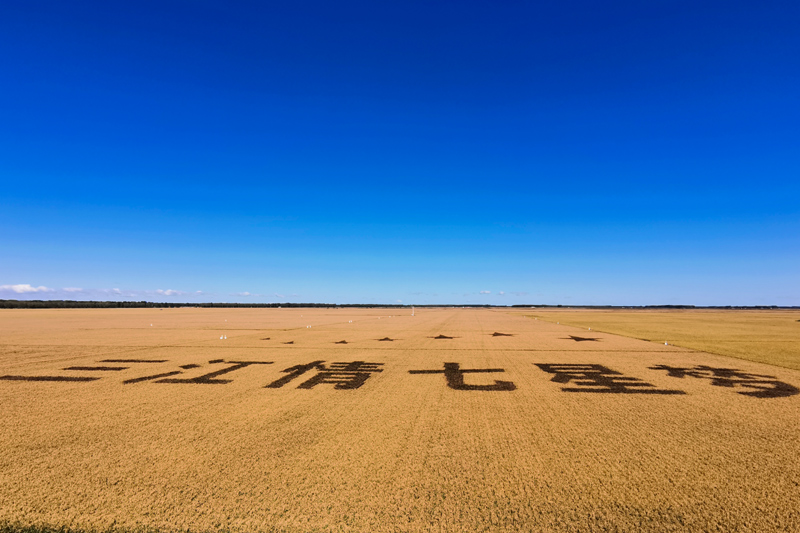 康县富硒大米(陕南富硒大米)-硒宝网