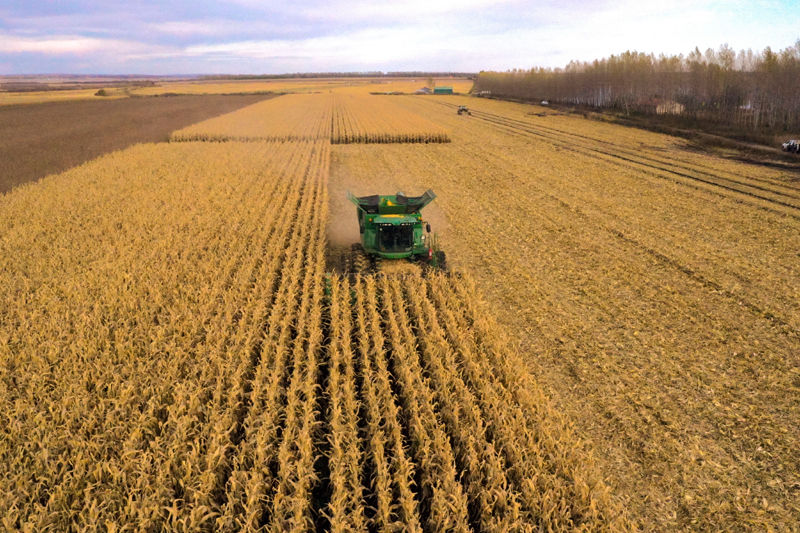 康县富硒大米(陕南富硒大米)-硒宝网