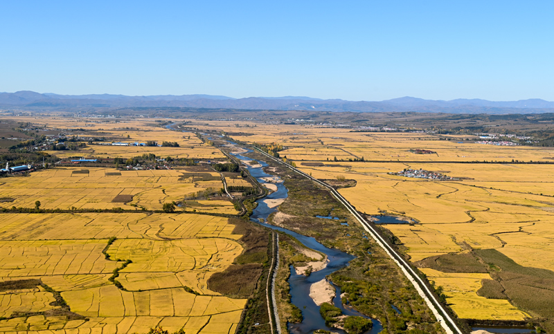 康县富硒大米(陕南富硒大米)-硒宝网