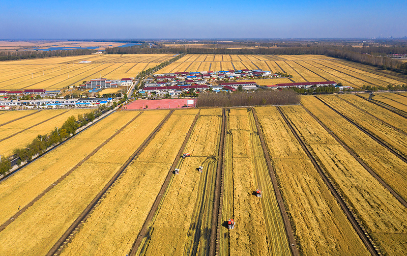 康县富硒大米(陕南富硒大米)-硒宝网