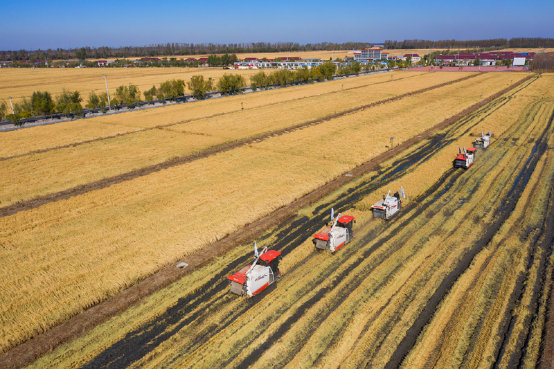 康县富硒大米(陕南富硒大米)-硒宝网