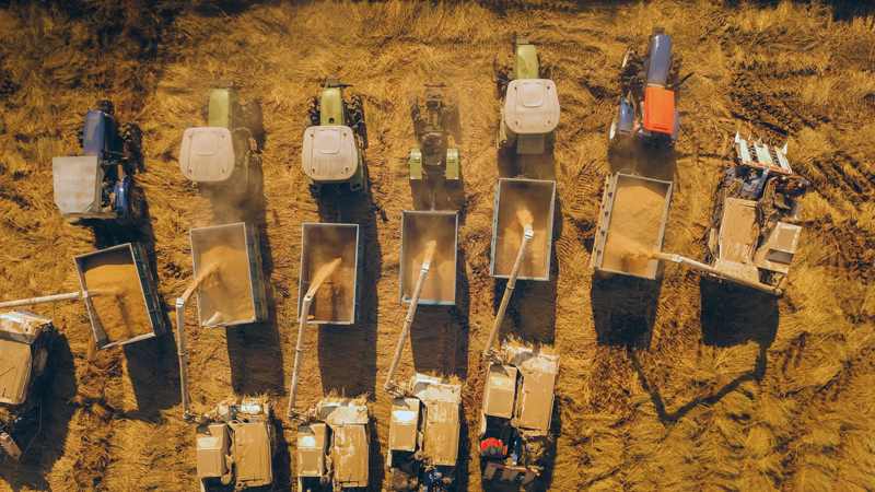 康县富硒大米(陕南富硒大米)-硒宝网